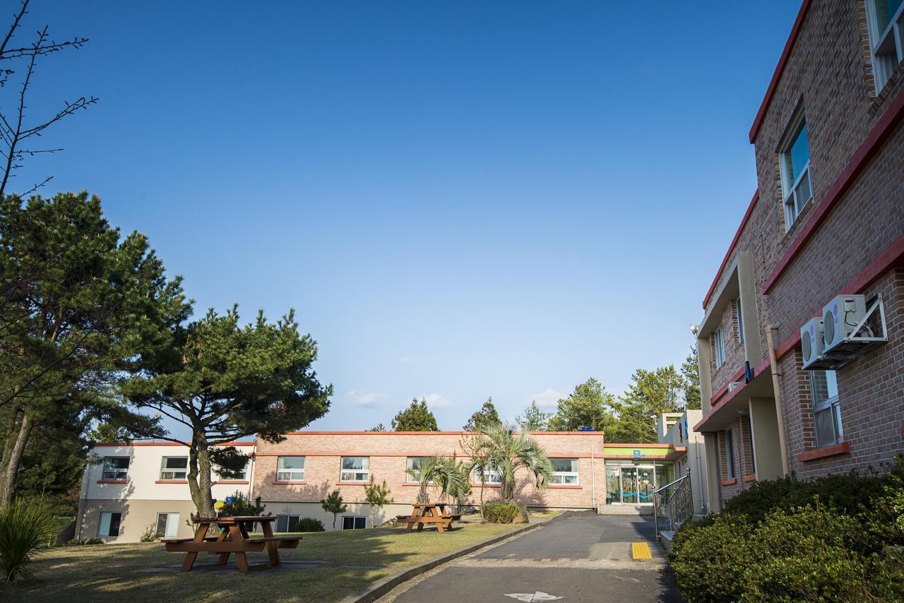Jeju Youth Hostel Zewnętrze zdjęcie