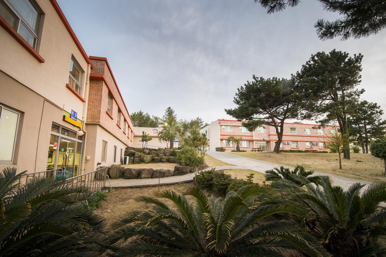 Jeju Youth Hostel Zewnętrze zdjęcie