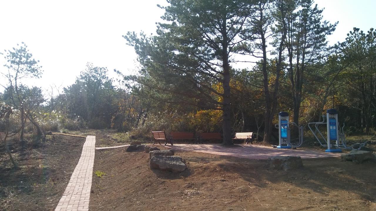 Jeju Youth Hostel Zewnętrze zdjęcie