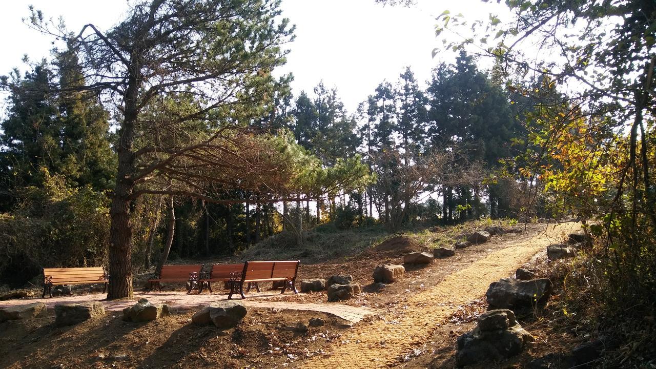 Jeju Youth Hostel Zewnętrze zdjęcie