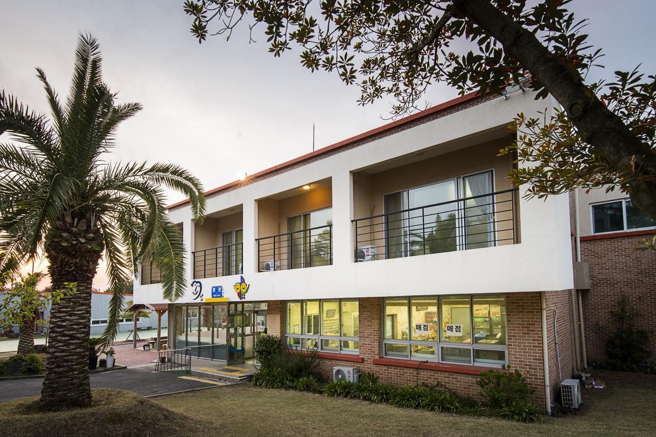 Jeju Youth Hostel Zewnętrze zdjęcie
