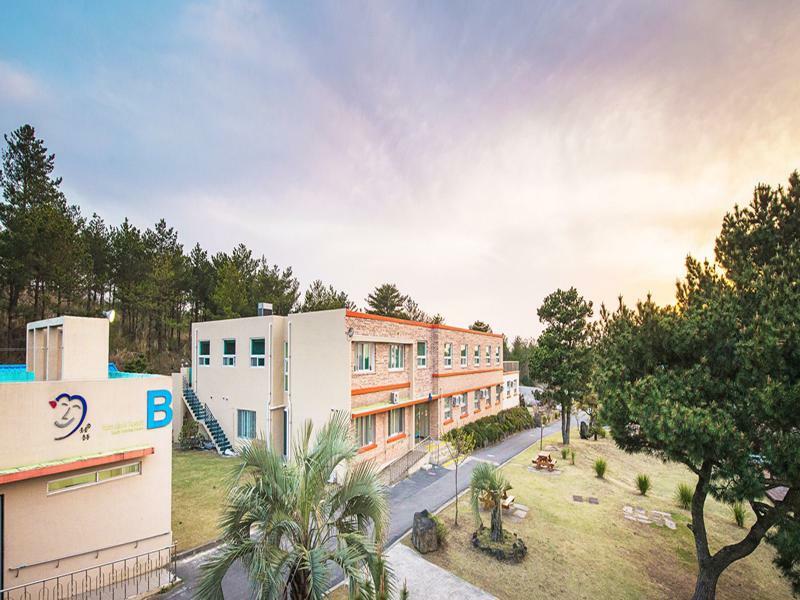 Jeju Youth Hostel Zewnętrze zdjęcie
